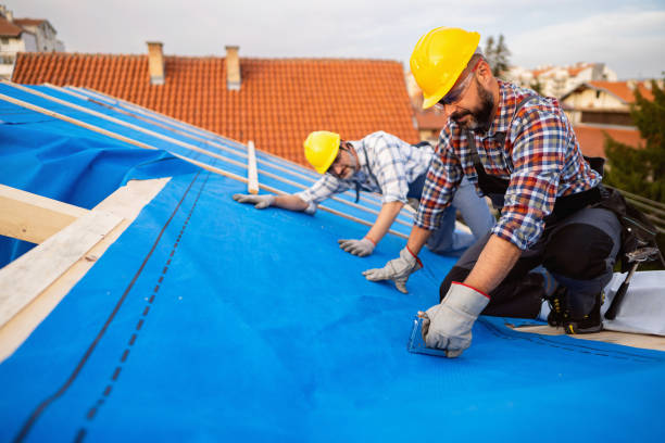 Best Sealant for Roof  in Sherrill, NY